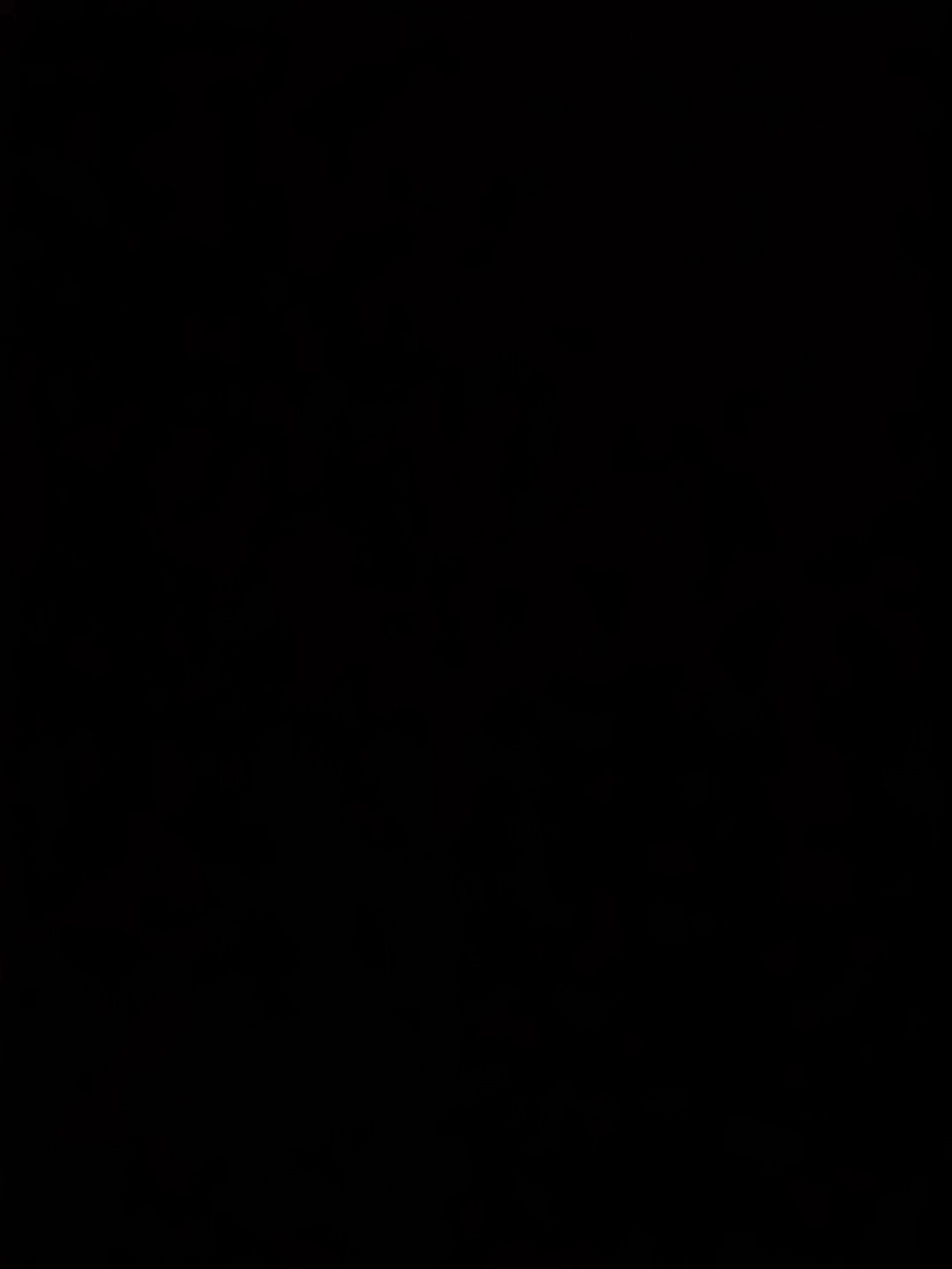 Nueva edición de tendencias