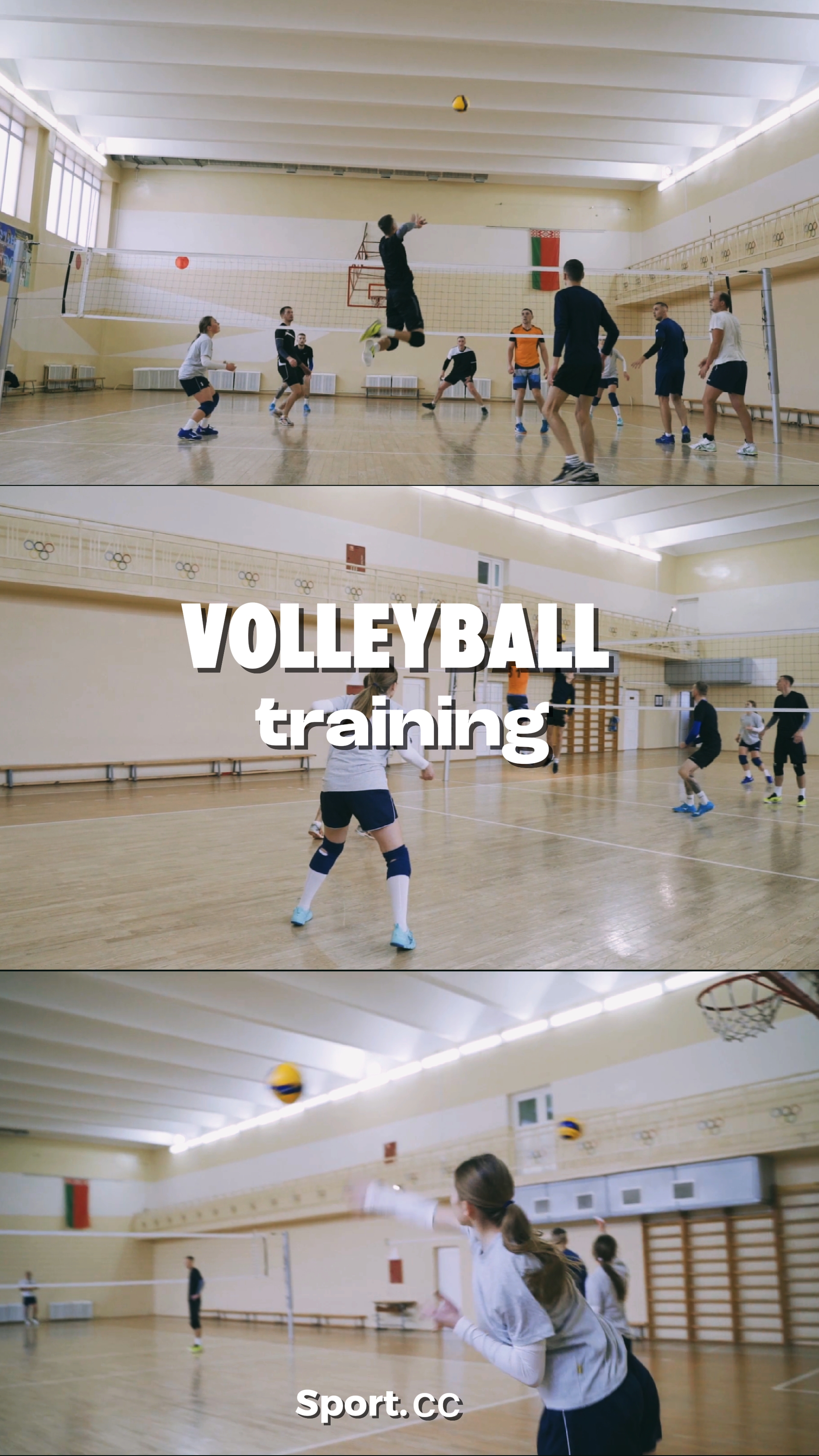 Entrenamiento de voleibol 