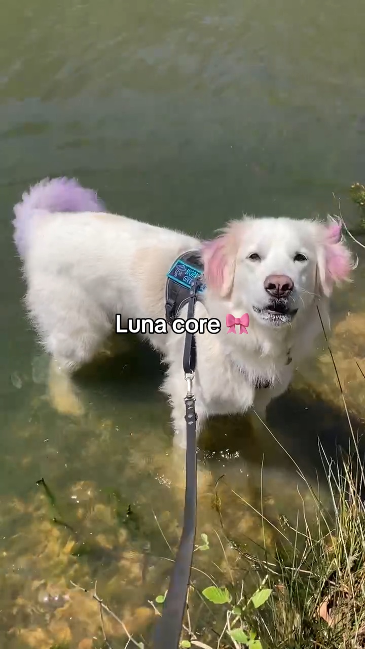 Luna çekirdeği 🎀