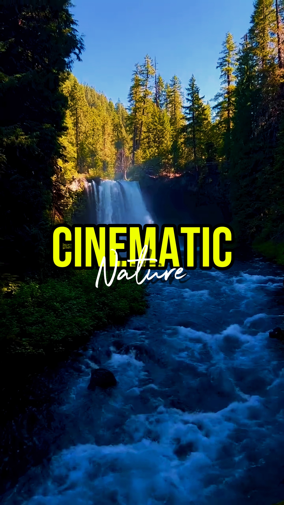 CINEMATIC