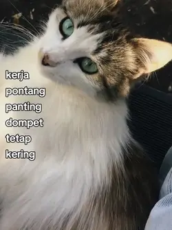 kerja pontang pantin