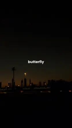 Butterfly ...