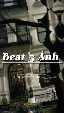 5 ảnh