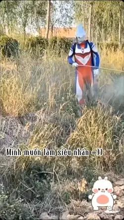 mẫu 1 ảnh vui nhộn
