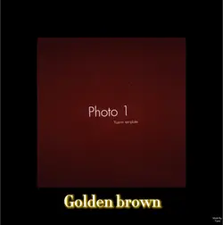 Golden brown ๐๐ค