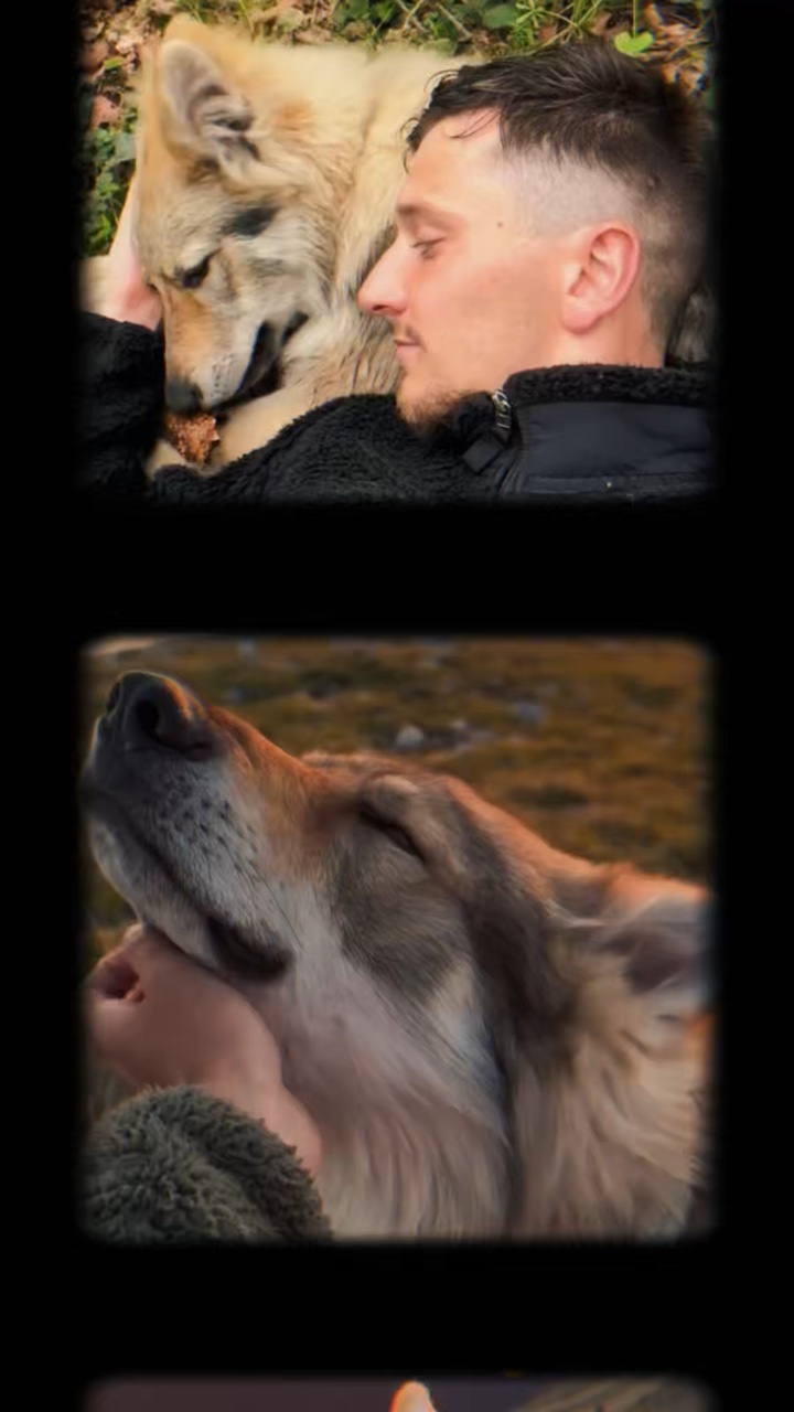 Meus momentos cachorro