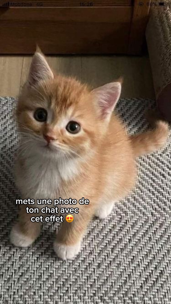 Teste cet effet 😳