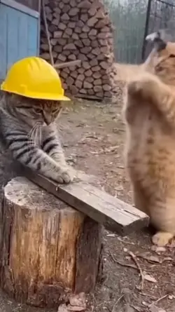 si oyen jail