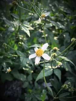 Lần cuối gặp em
