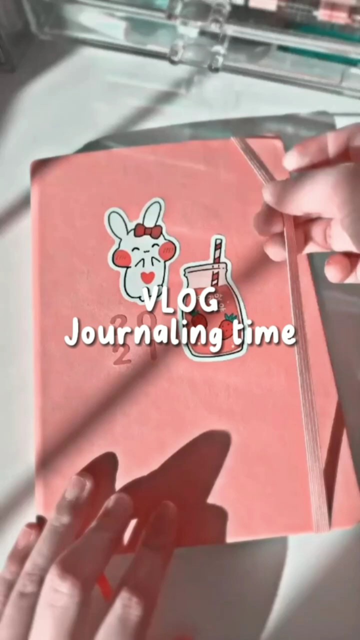 Vlog-Journaling Time