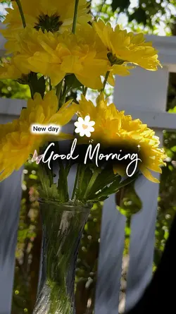 morningvibes 