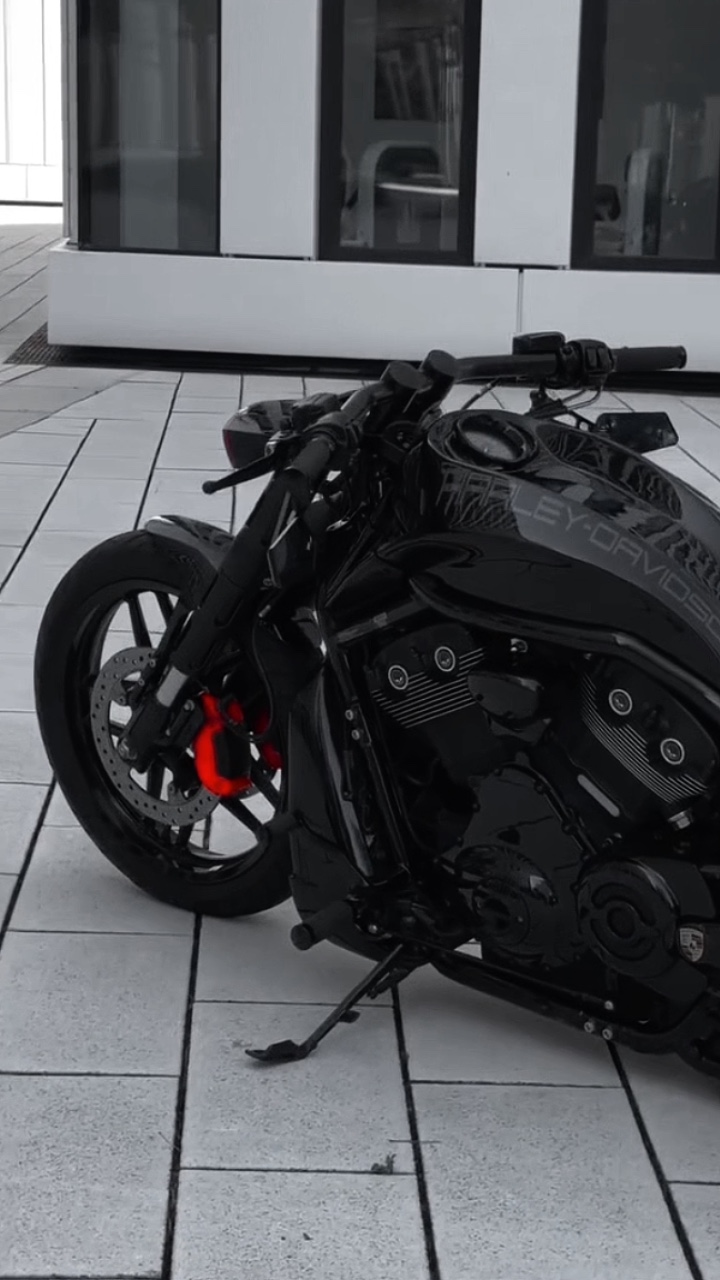 MOTO🛢️⚔️