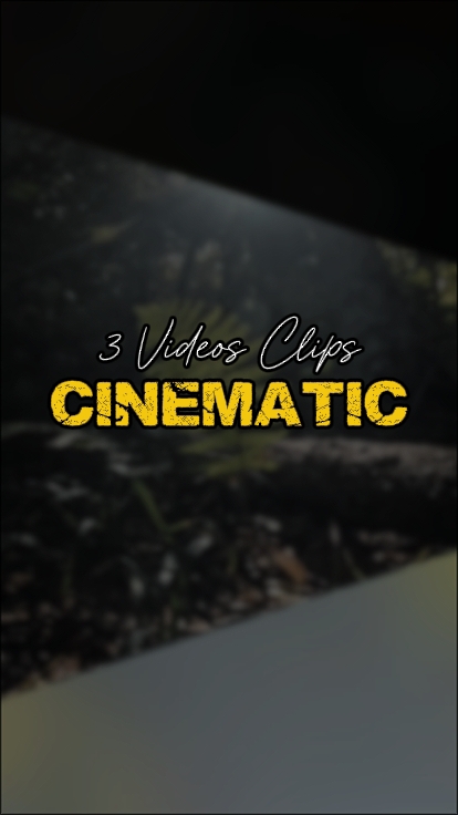3 Videos Clips