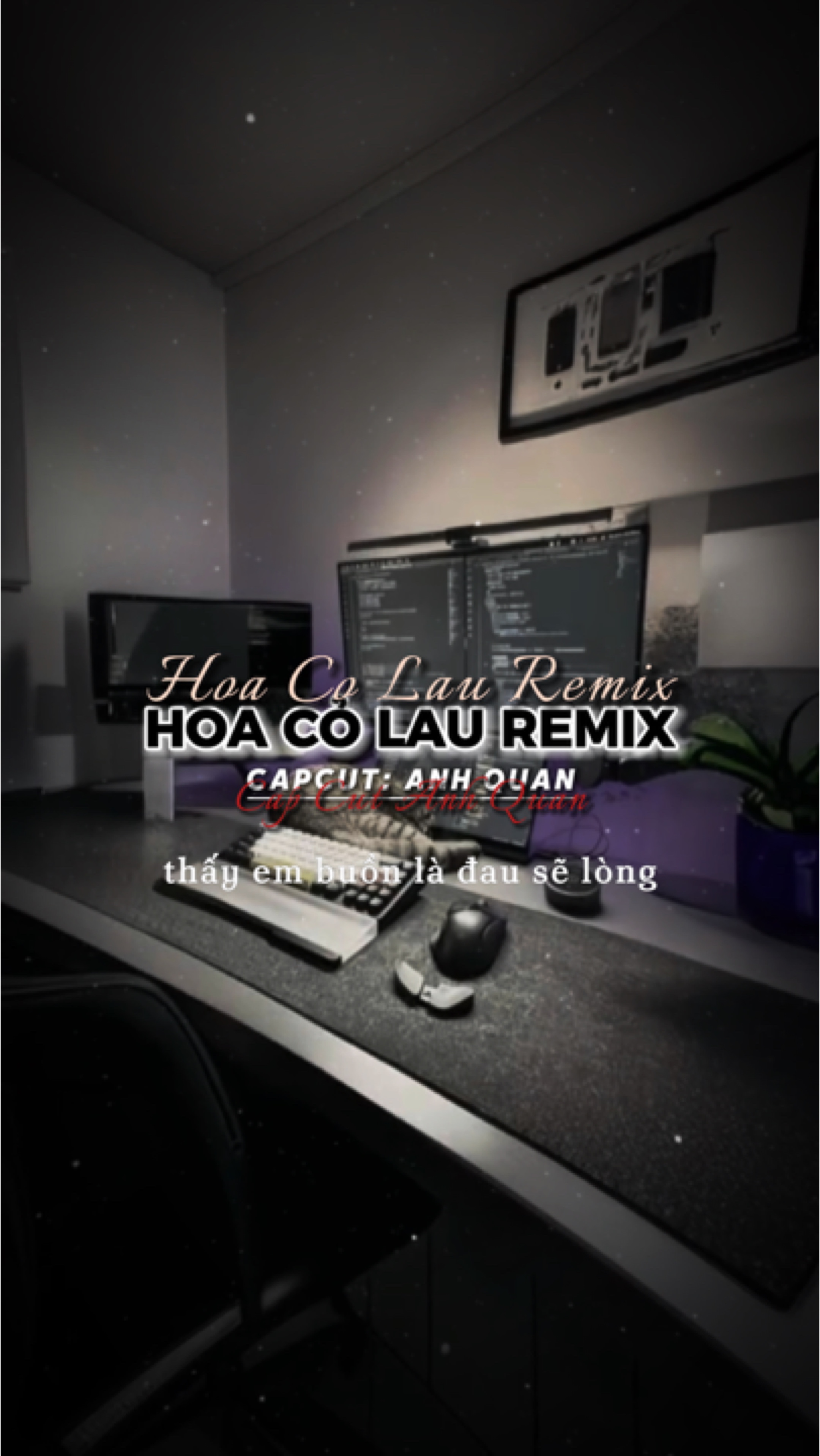 Remix Hoa Cdari Lau