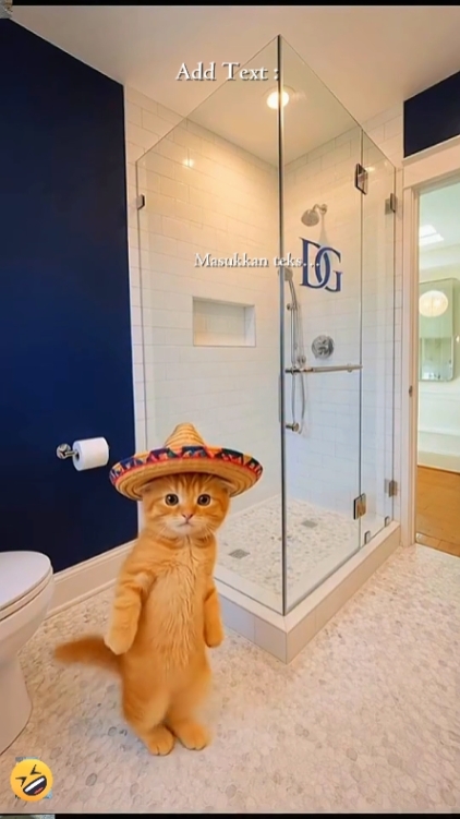 Lustige Katze: