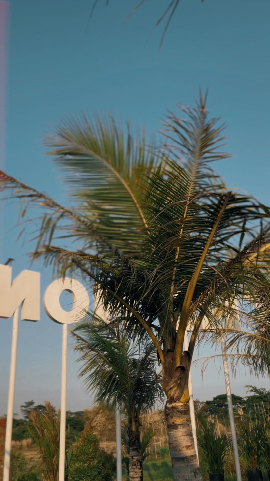 CINEMATIC 8 KLIP
