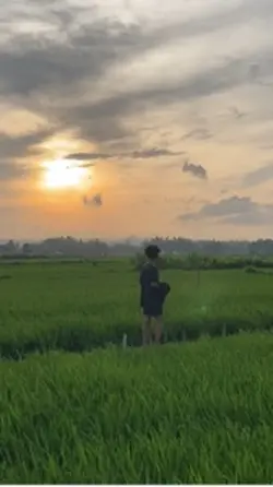 1 klip senja