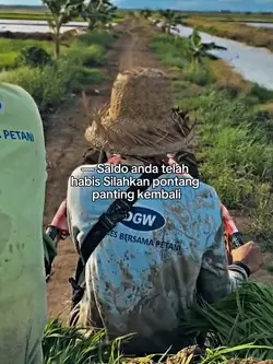 Saldo anda telah hab