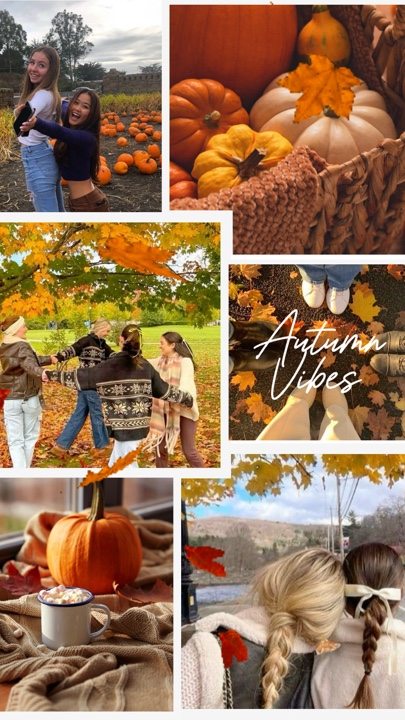 Autumn Vibe