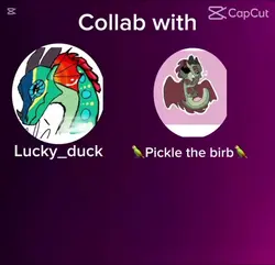 Collab Lucky_Duck