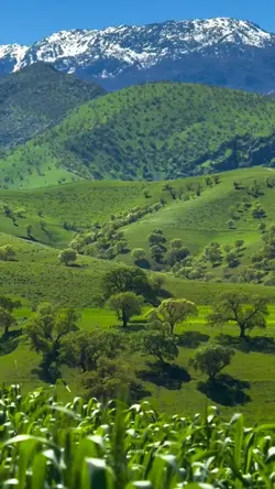 Lyrics/Nature