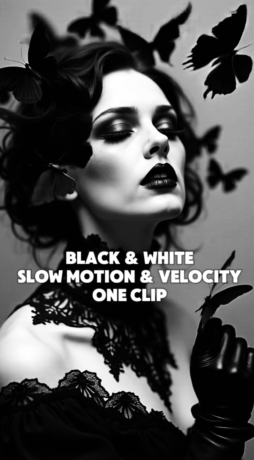 Noir et blanc Velocity