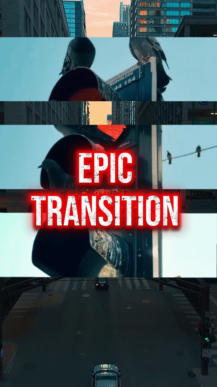 EPIC TRANSITION 