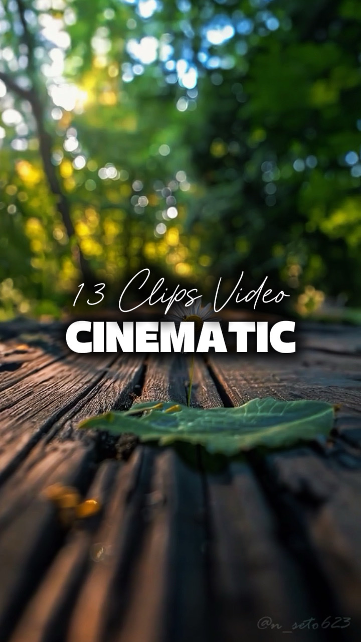 13 Videos Cinematic 