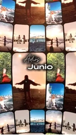 Adiós Junio
