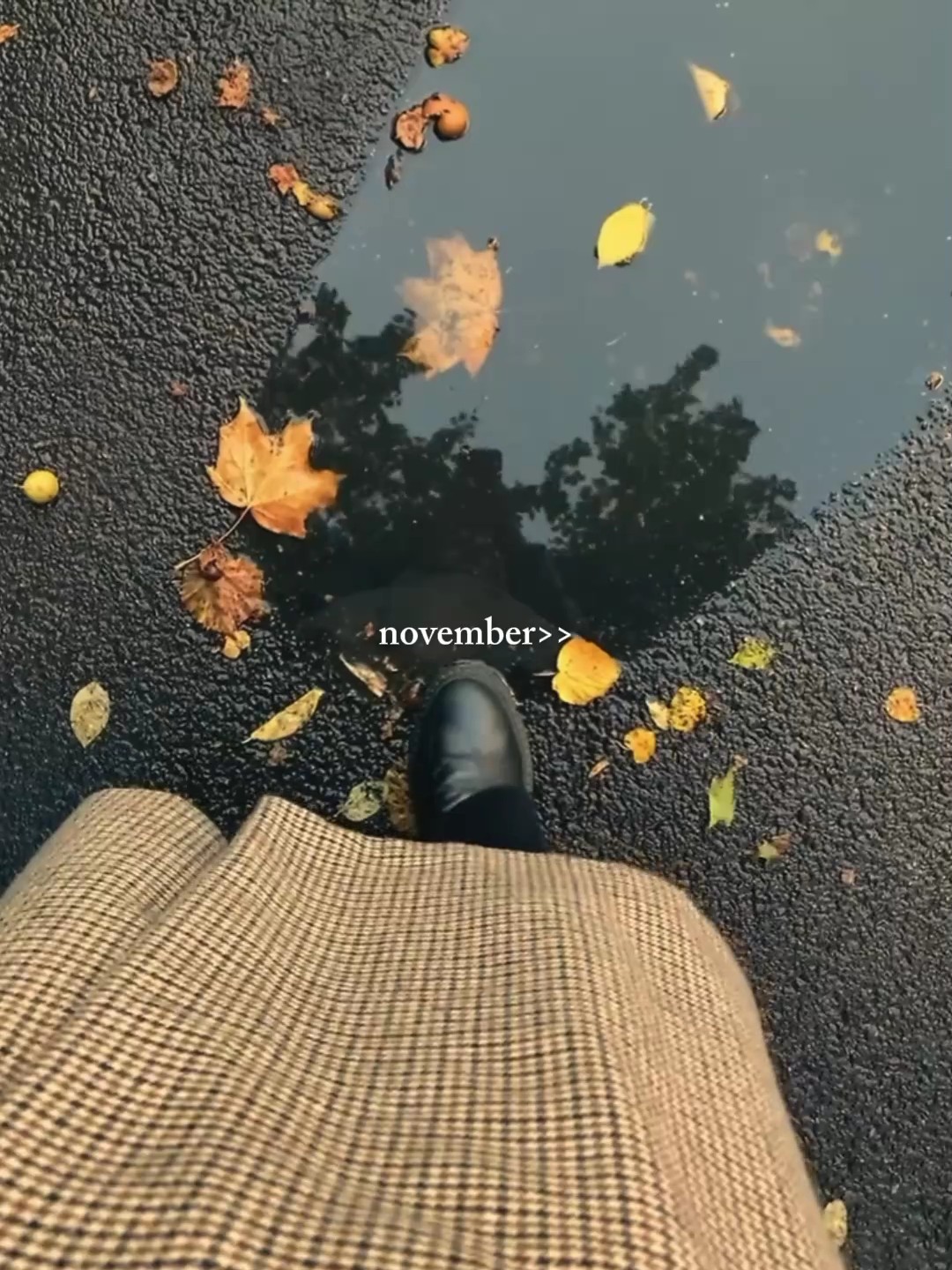 Noviembre 