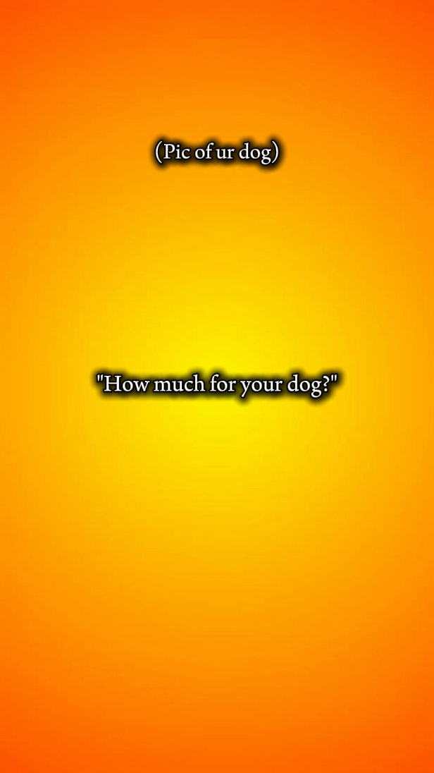 dog