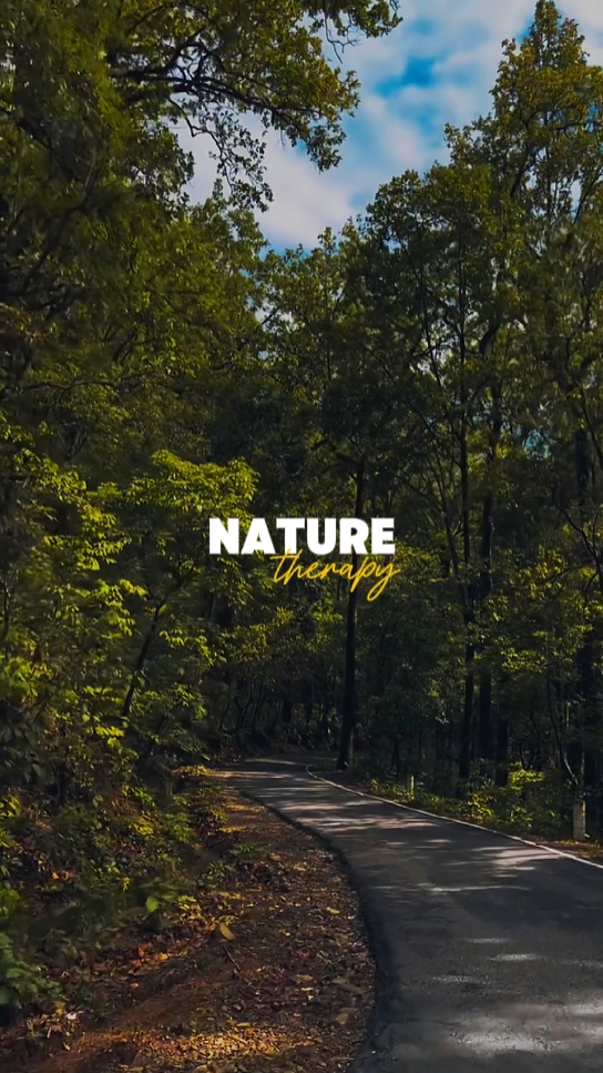 Nature Therapy