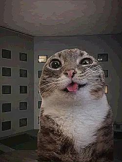 liminal space