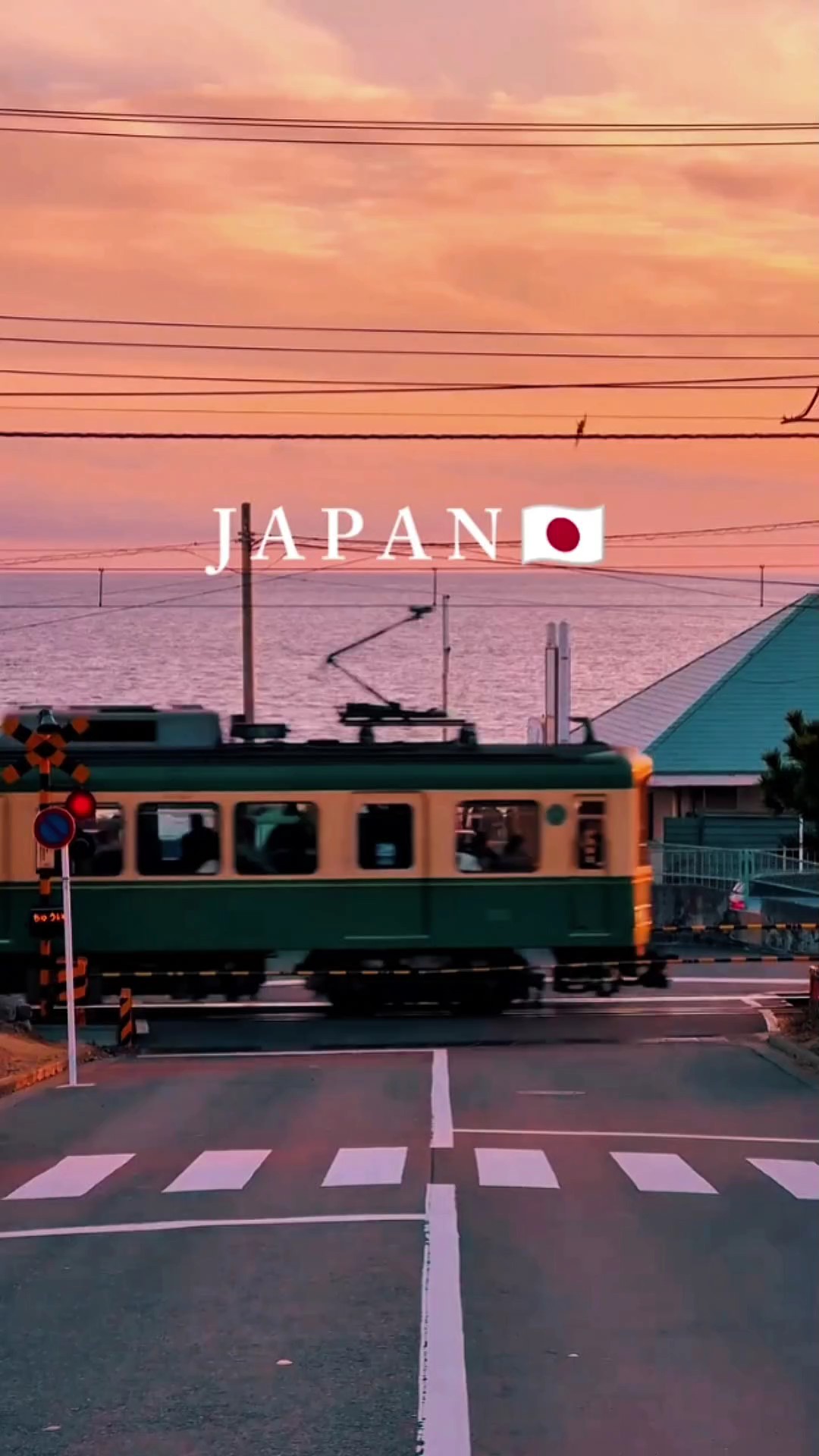 Datanglah ke Jepang 