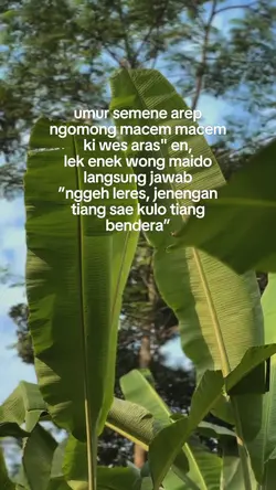 bahan sw