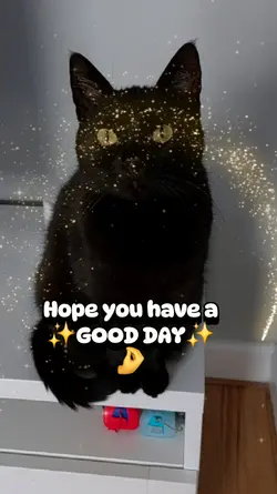 Have a good day!
