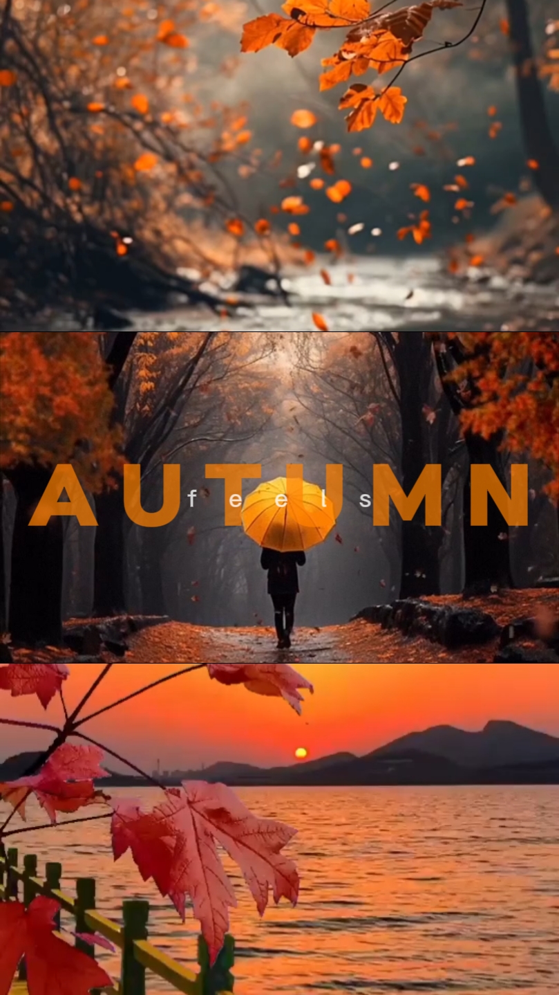 Autumn Feels