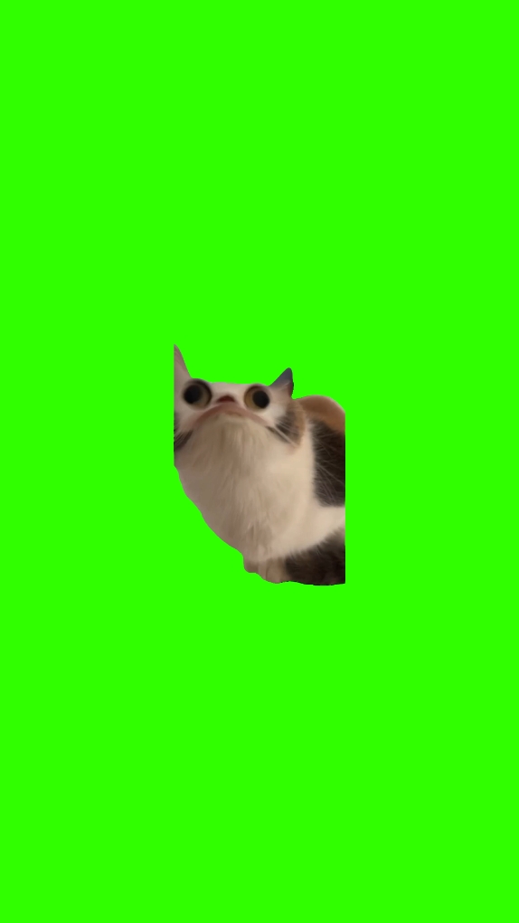 miaou