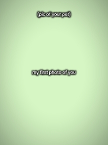 evcil hayvanınızın fotoğrafı
