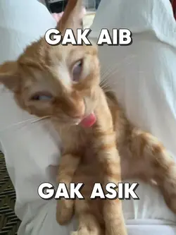 Gak Aib, Gak Asik
