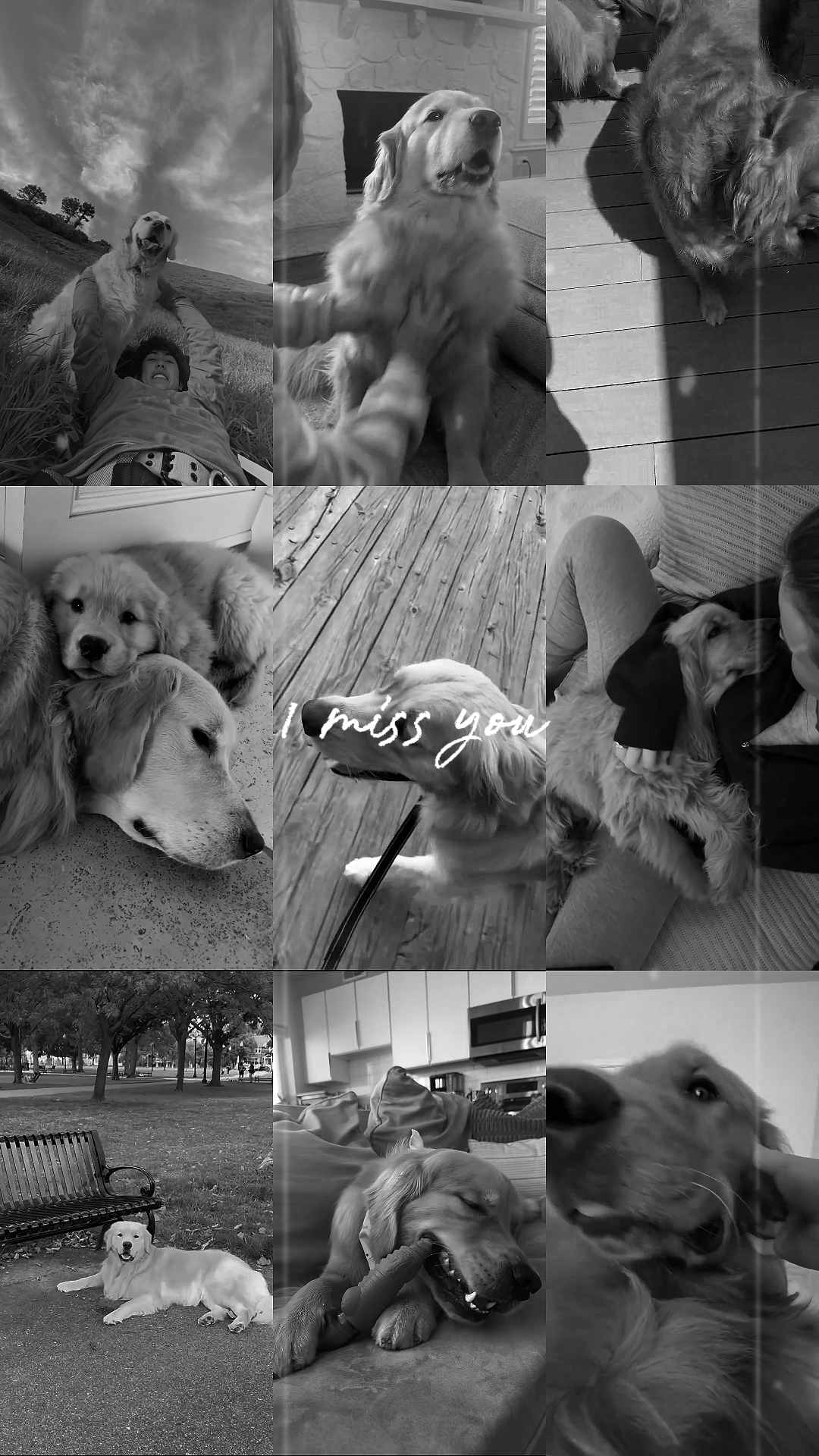i miss you