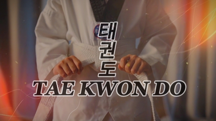 TAE KWON DO