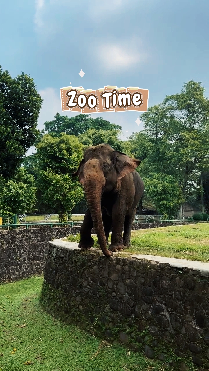 zoo