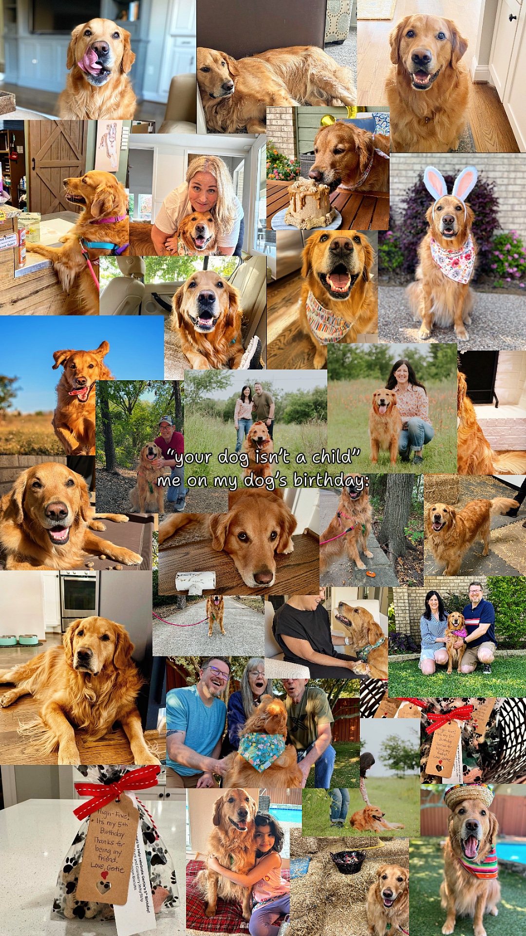 Mascotas de cumpleaños