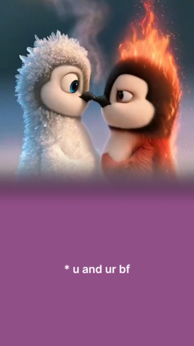 TÚ Y TU NOVIO