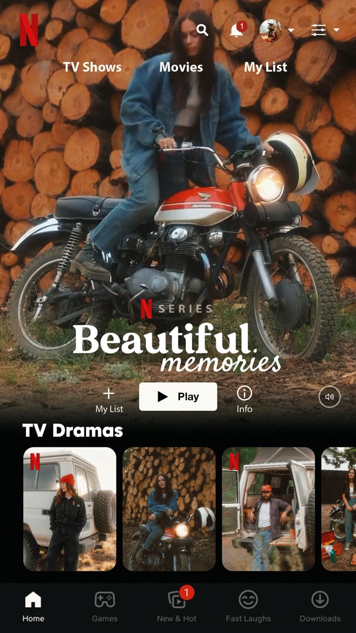 Plantilla de Netflix
