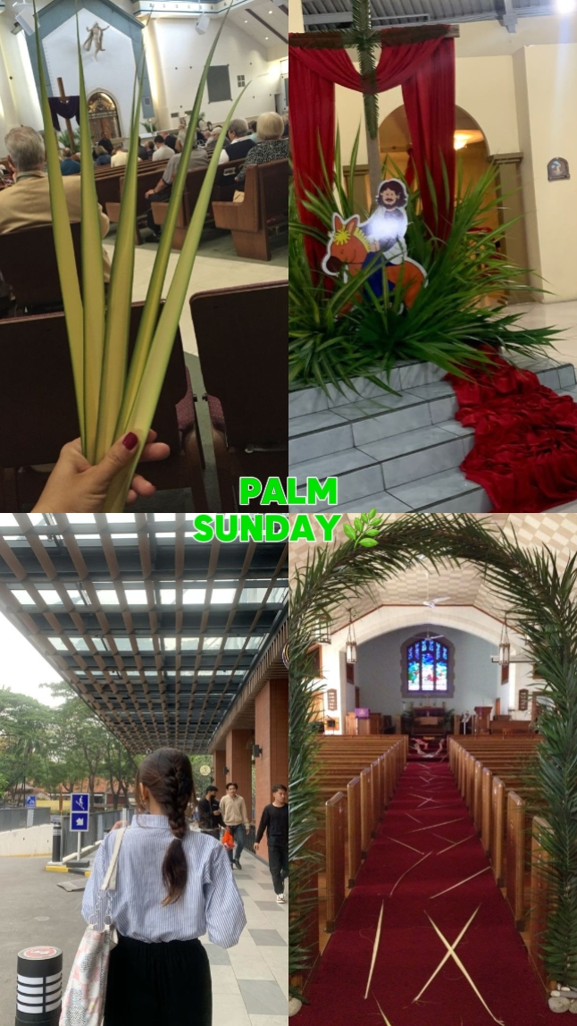 Domingo de palma