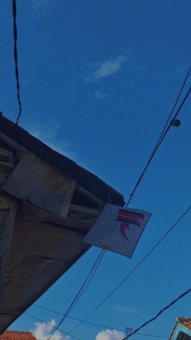 Vídeo cinematográfico 2