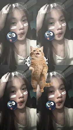 versi kucing