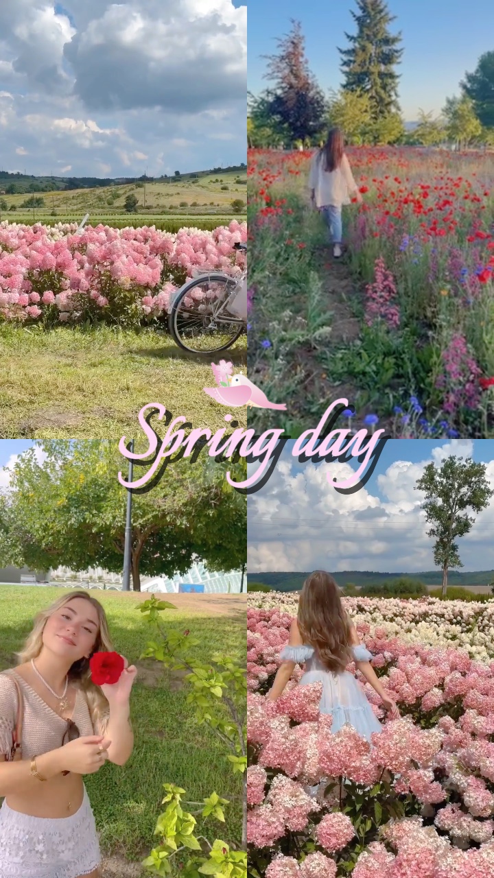 Vlog du jour du printemps
